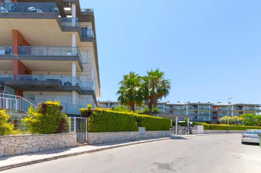 Apartment buildings line a sunny street beside a hedge and palm trees.