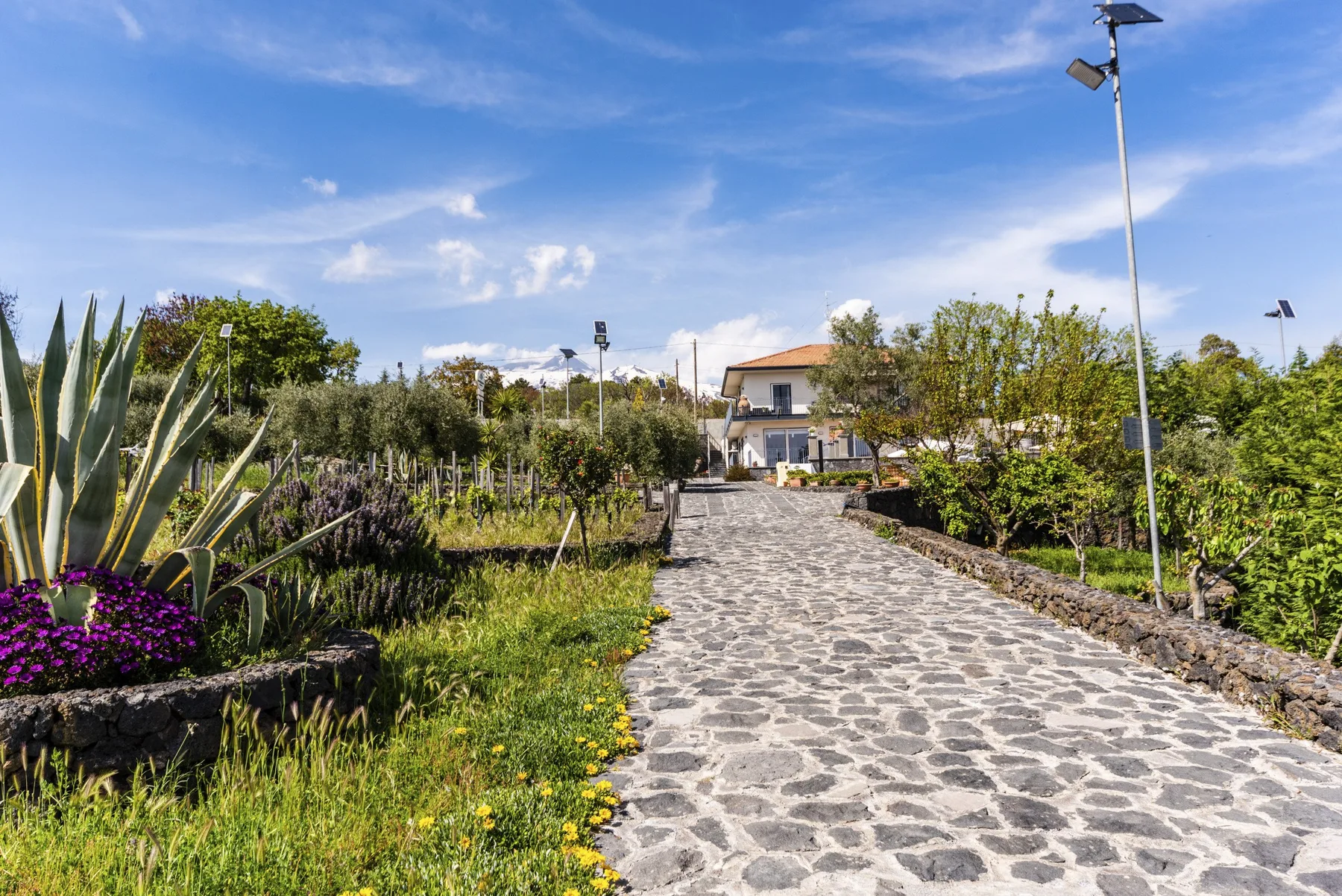 Un camino empedrado atraviesa jardines cuidados y conduce hacia un edificio.