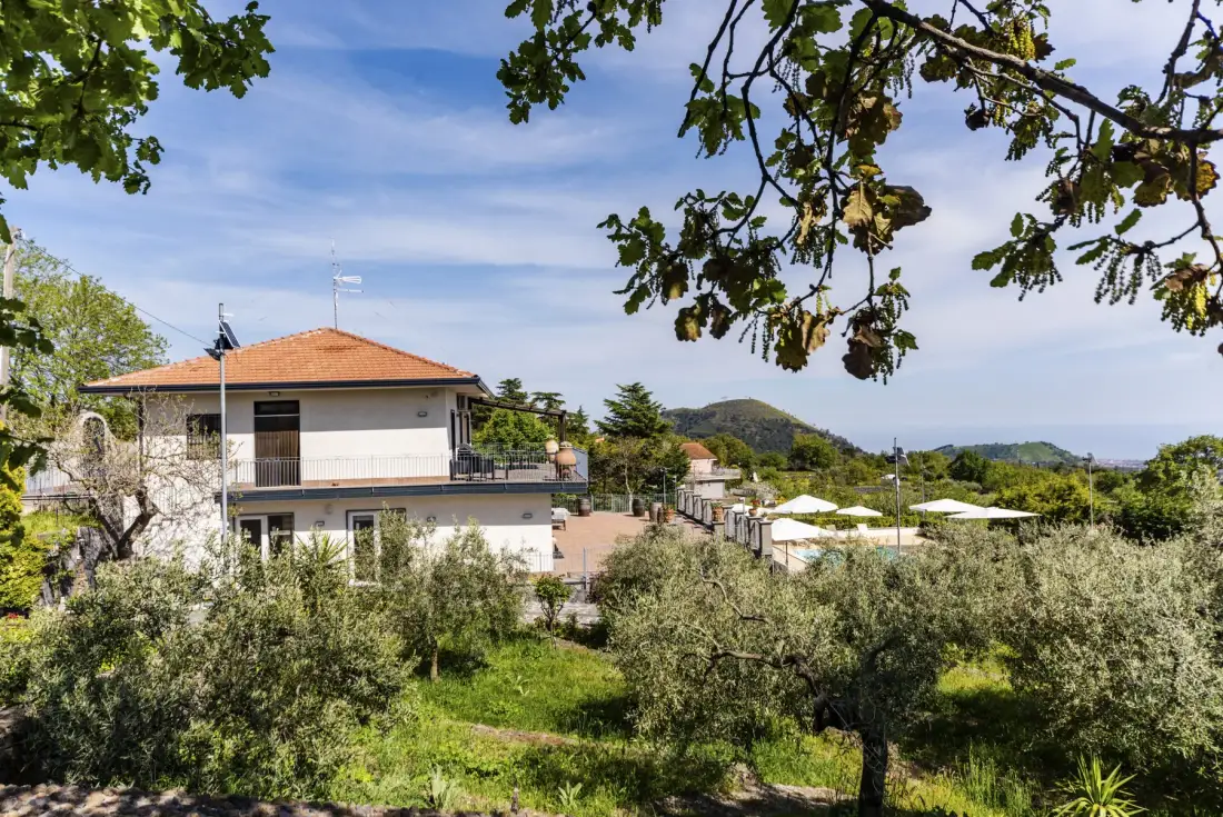 Una casa está rodeada de árboles, con una colina al fondo.