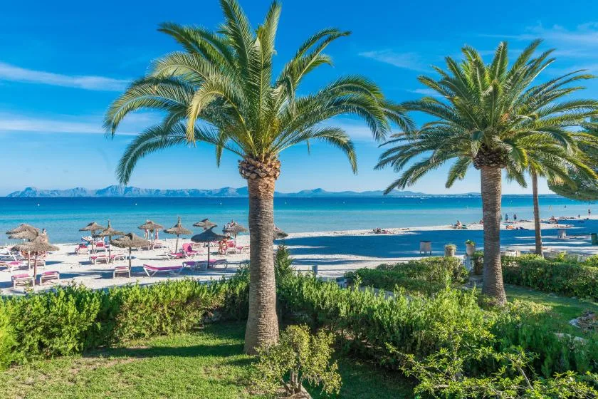 A beachfront scene with palm trees, a sandy beach, and blue water.