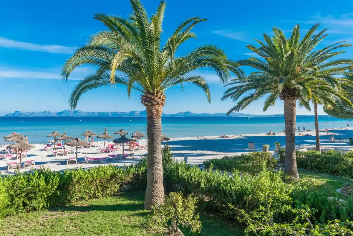 A beachfront scene with palm trees, beach umbrellas, and the sea.