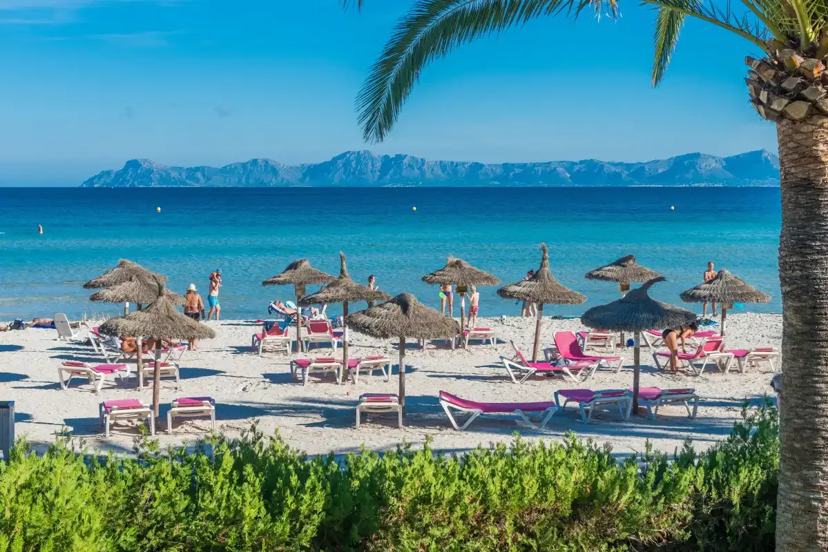 A beach with rows of sun loungers and parasols beside the sea.
