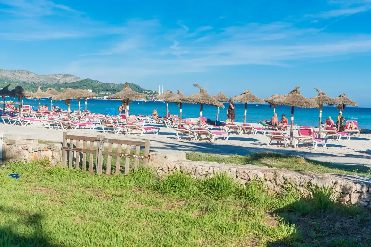 A beach with rows of sun loungers and thatched parasols beside the sea.