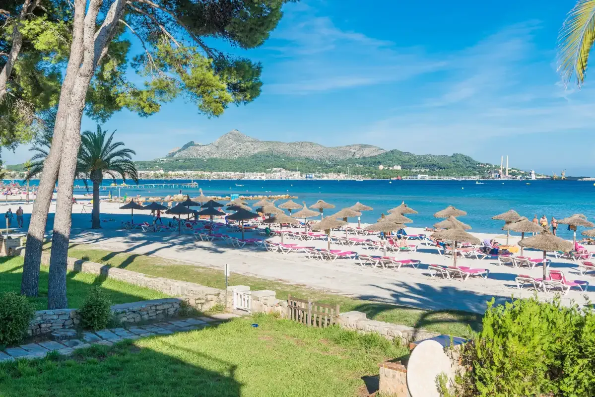 A sandy beach with rows of sun loungers and parasols beside blue water.