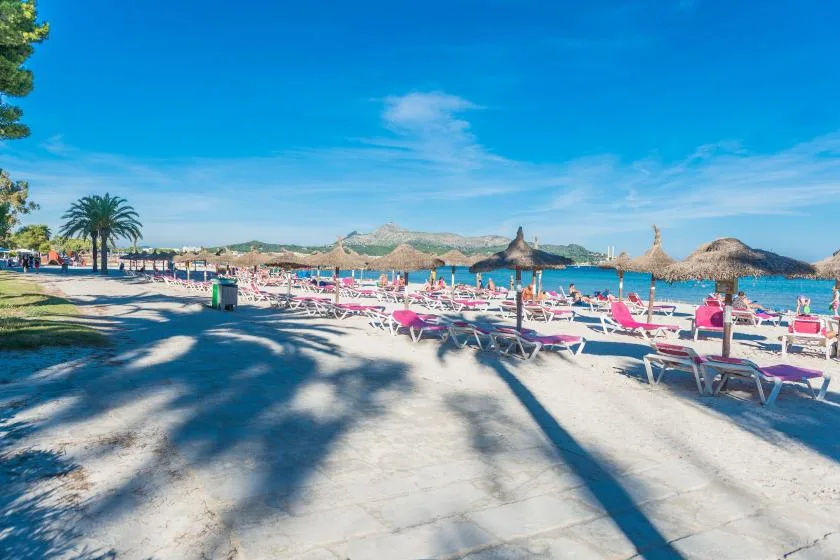 A sunny beach with rows of loungers, thatched parasols, and the sea beyond.