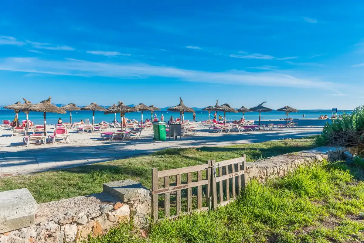 A sandy beach with rows of parasols beside the blue sea.