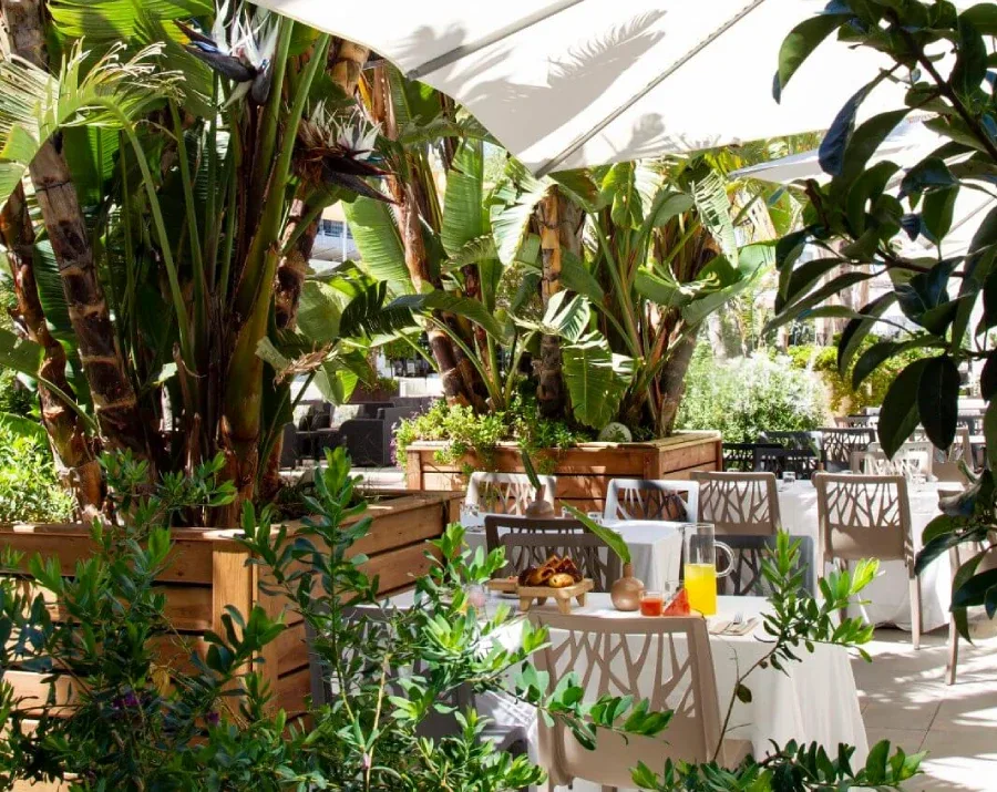 Hotel garden