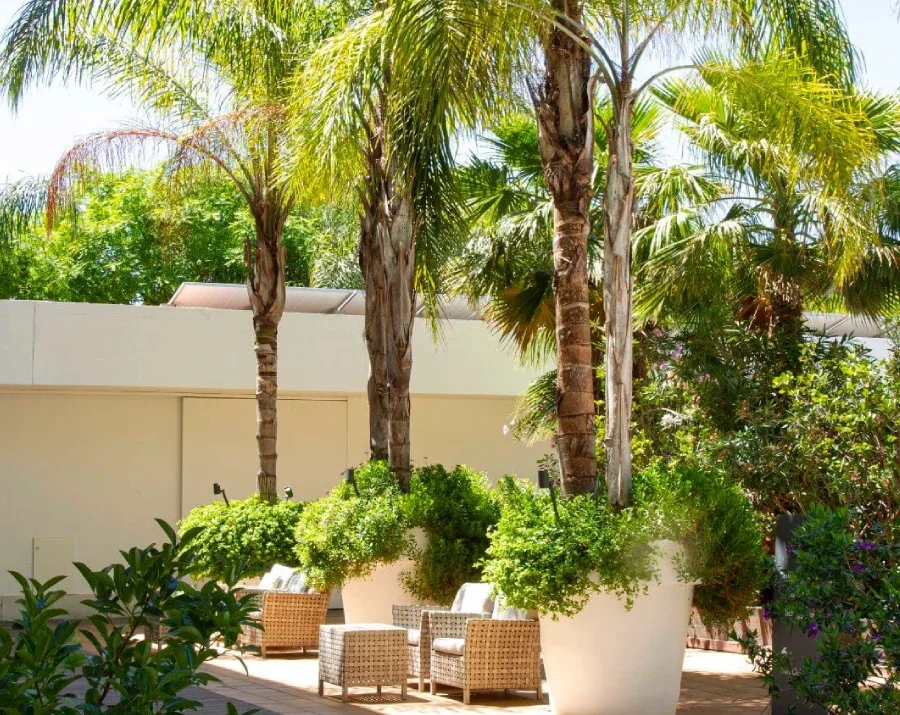 Hotel garden