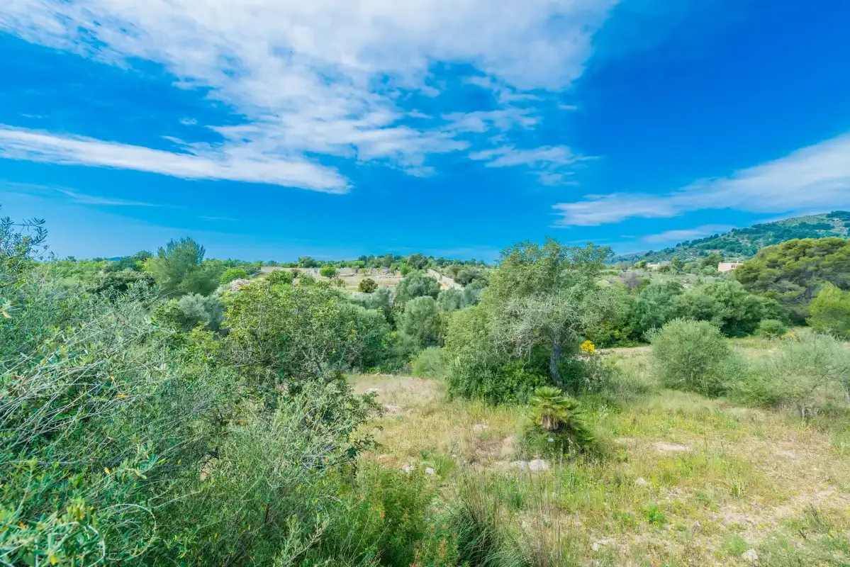 A grassy clearing bordered by shrubs and trees beneath a partly cloudy sky.