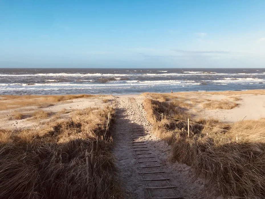 A sandy path crosses grassy dunes toward the ocean.