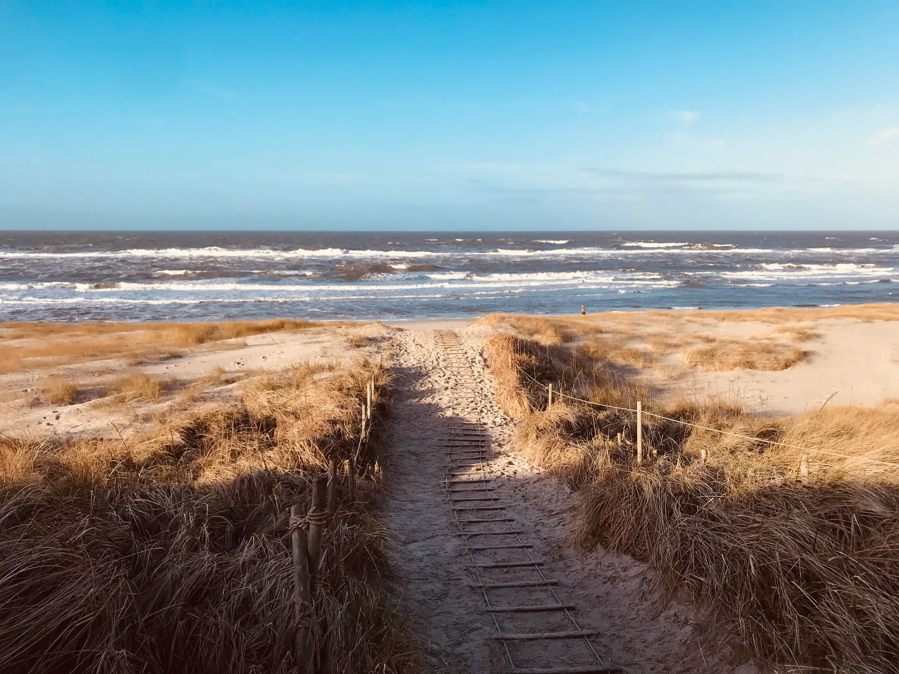 A sandy path through coastal grass leads toward the ocean.