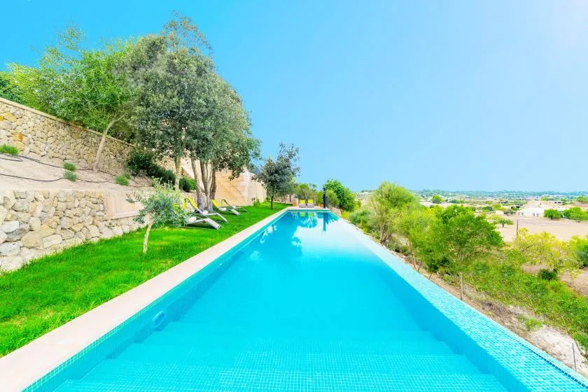 A long outdoor swimming pool sits beside green lawns and trees.