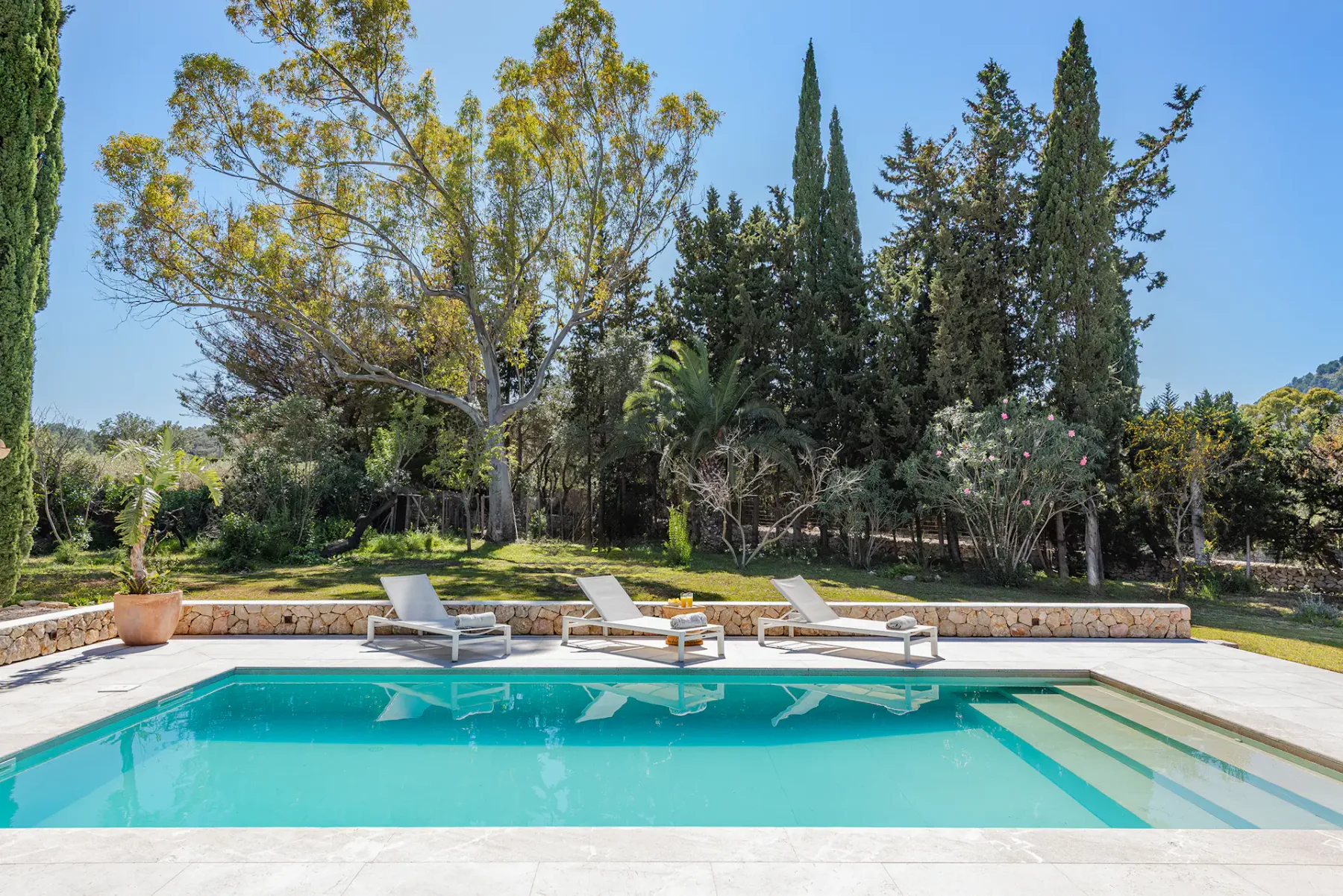 Swimming pool & Garden