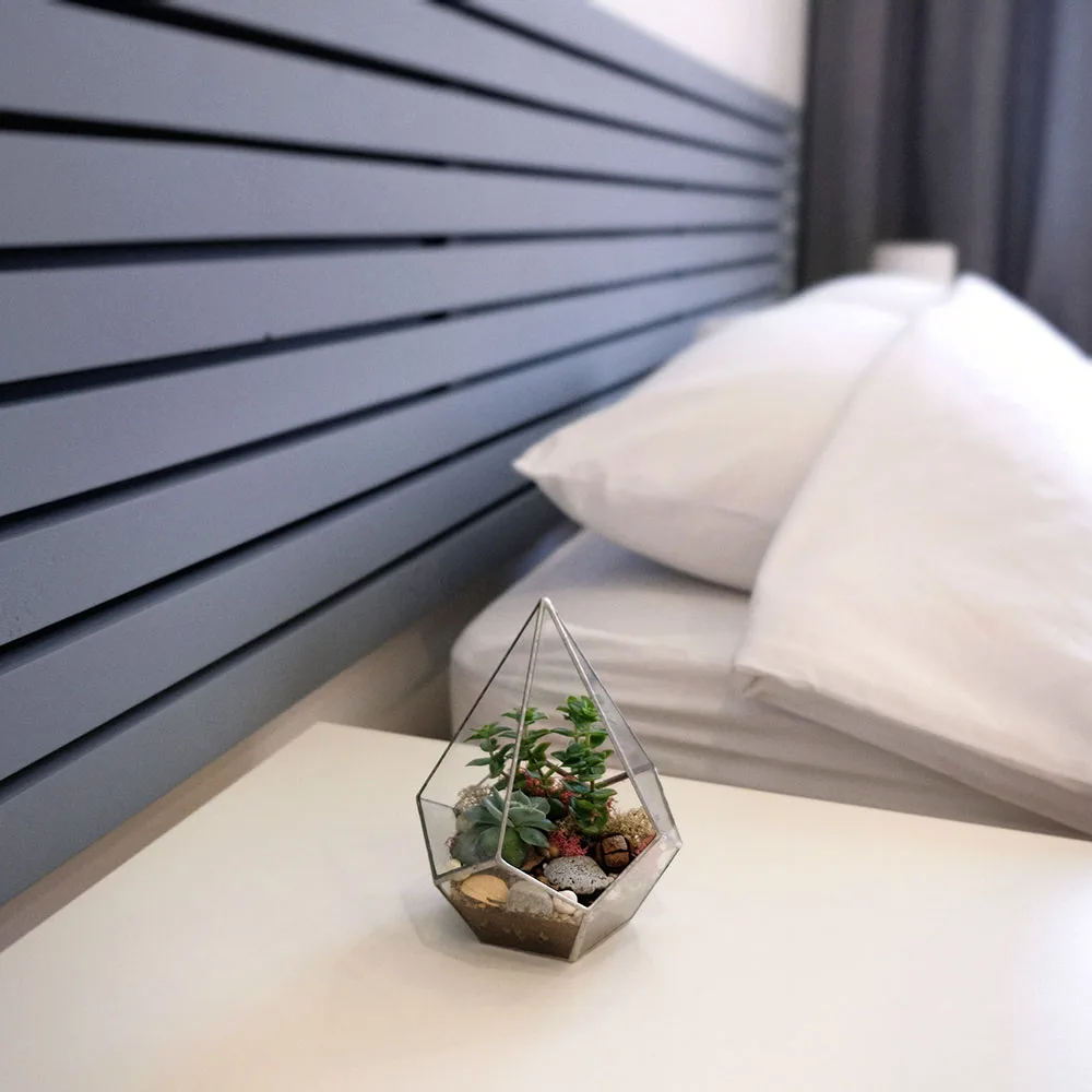 Habitación confort