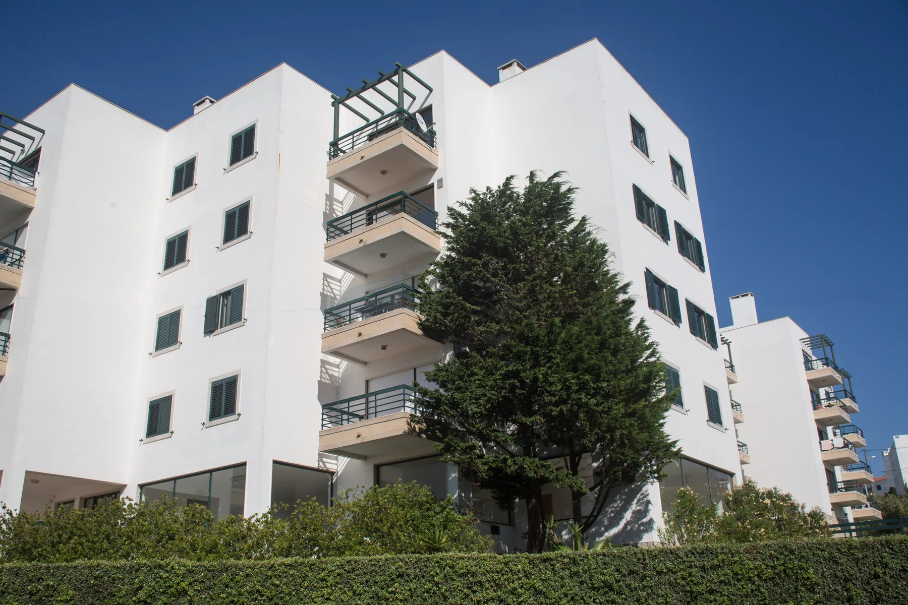 Edificios blancos de varias plantas con balcones, detrás de un seto y un árbol.