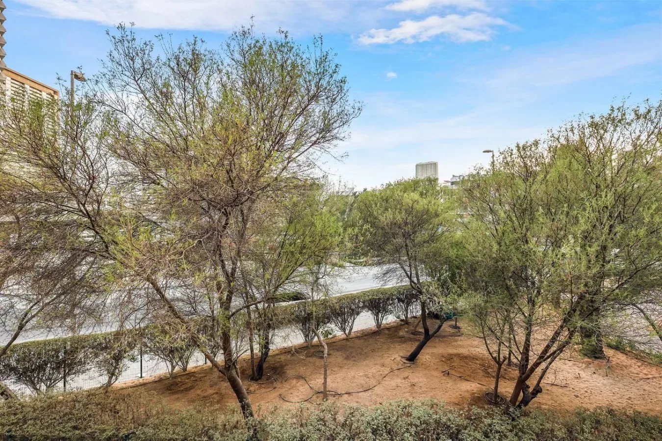 Una zona exterior arenosa con árboles frondosos bajo un cielo parcialmente nublado.