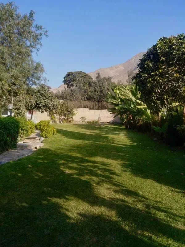 Dazzling 3BR with Private Pool & BBQ in La Cantuta