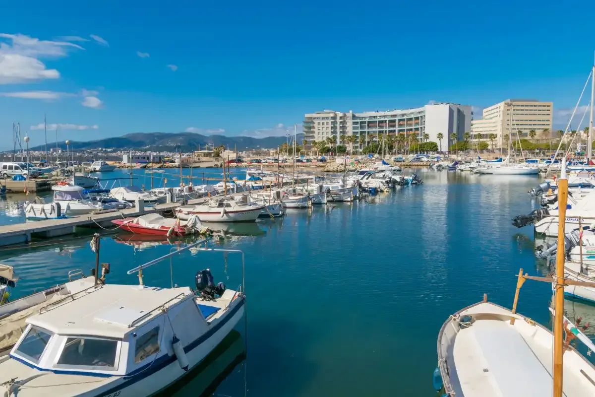 A marina filled with boats, with waterfront buildings visible in the distance.