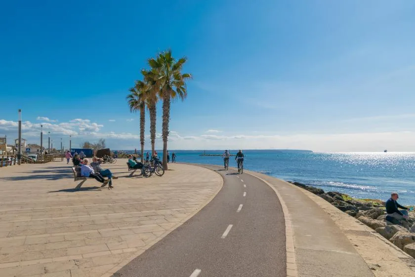 A seaside promenade curves along the coast, with palm trees beside the path.