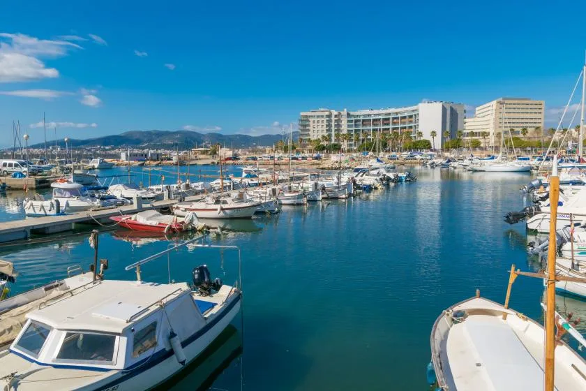 A marina filled with boats sits beside waterfront buildings under a clear blue sky.