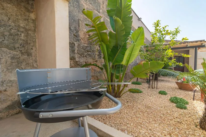 A gravel courtyard with a metal barbecue grill and leafy plants.