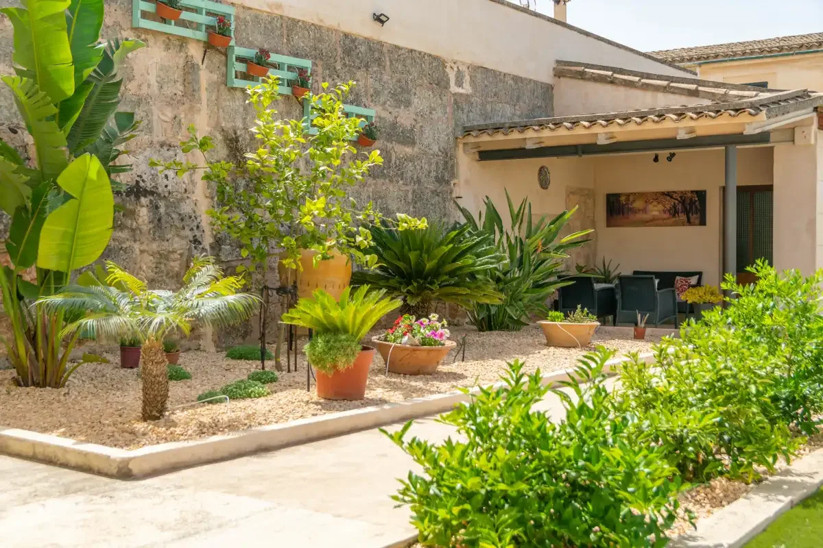 A landscaped courtyard with tropical plants and a covered seating area.