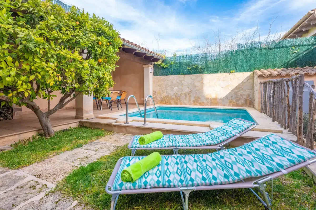 Una pequeña piscina al aire libre junto a tumbonas estampadas y un árbol frondoso.