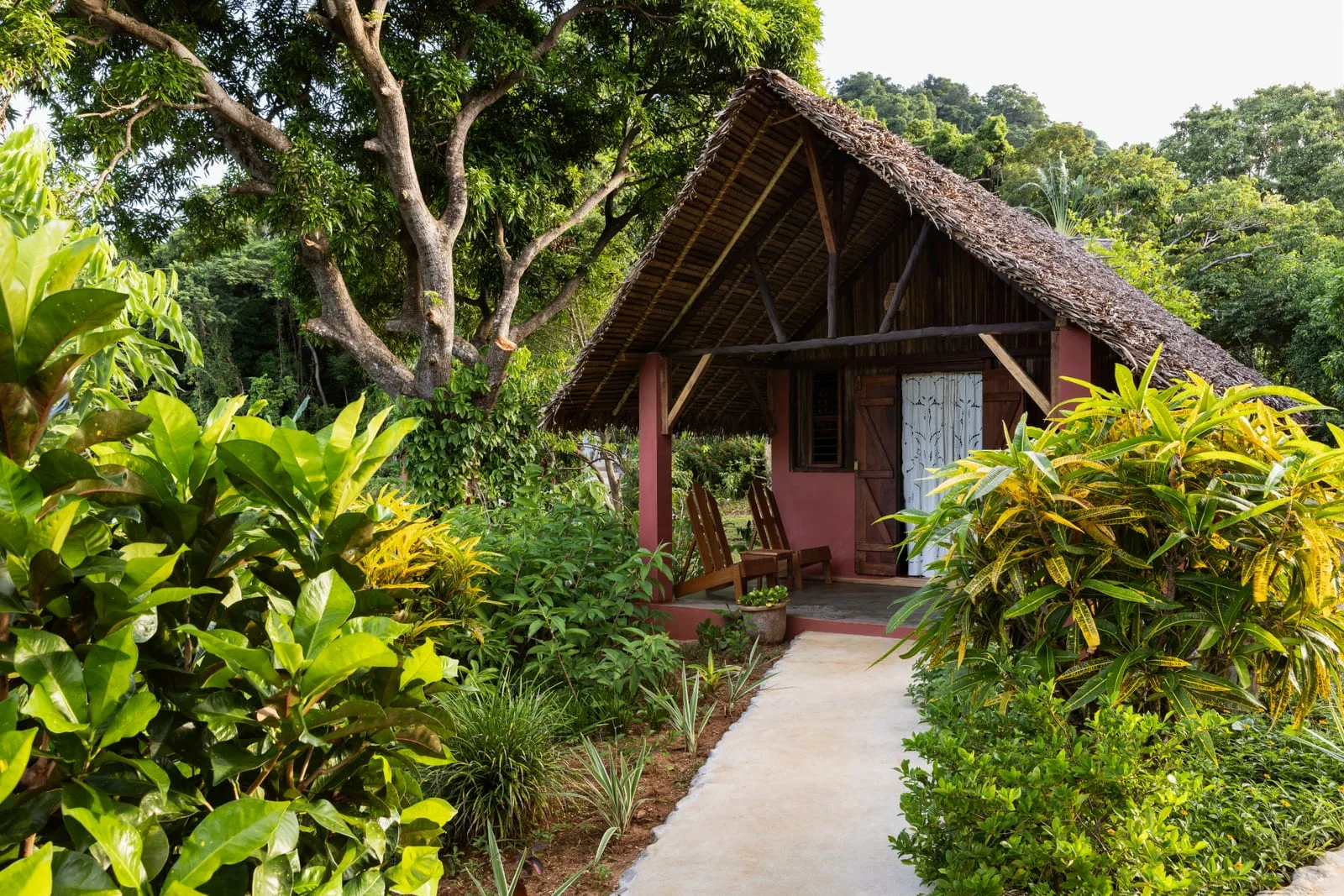 Bungaló Mango