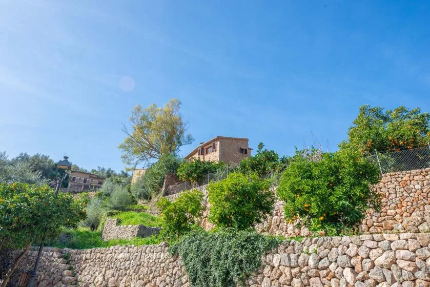 A hillside landscape with stone terraces, green vegetation, and a house beneath a clear blue sky.