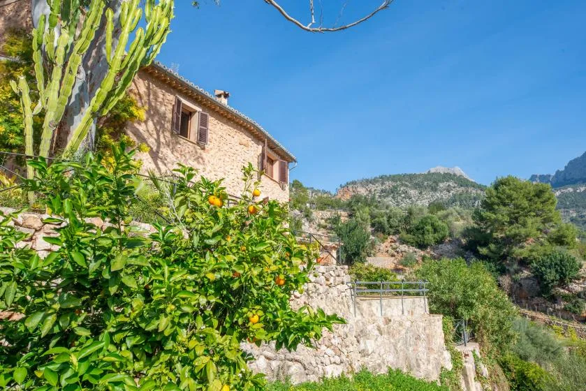 A stone house stands beside a garden with citrus trees and hills beyond.