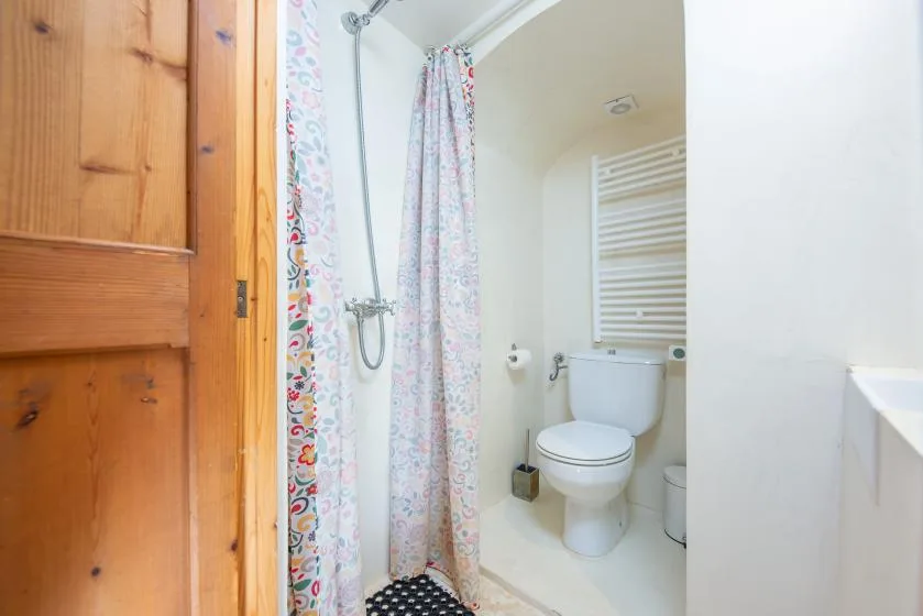 A bathroom with a shower, toilet, and white wall-mounted radiator.
