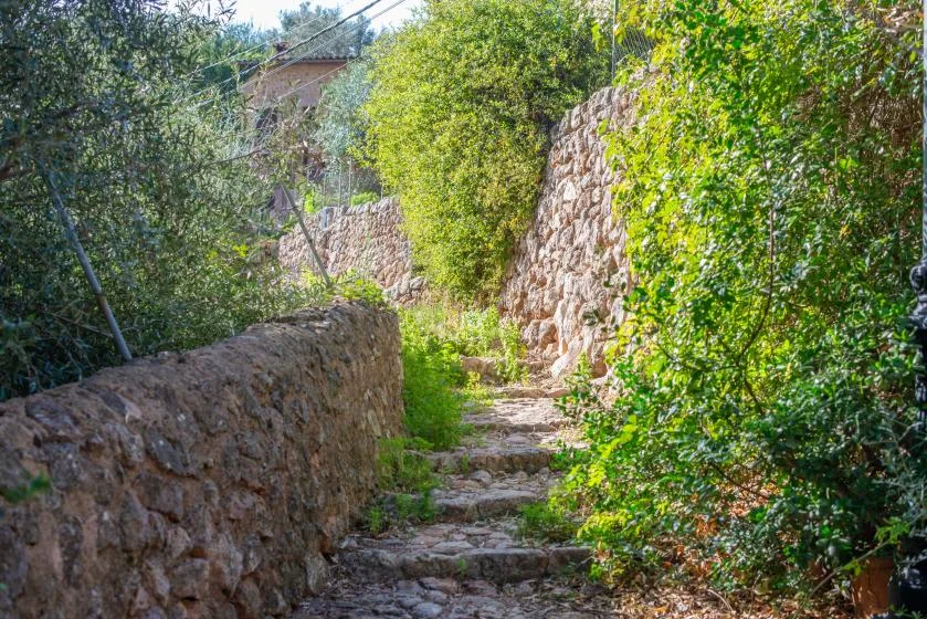 A stone path climbs between low stone walls and dense greenery.