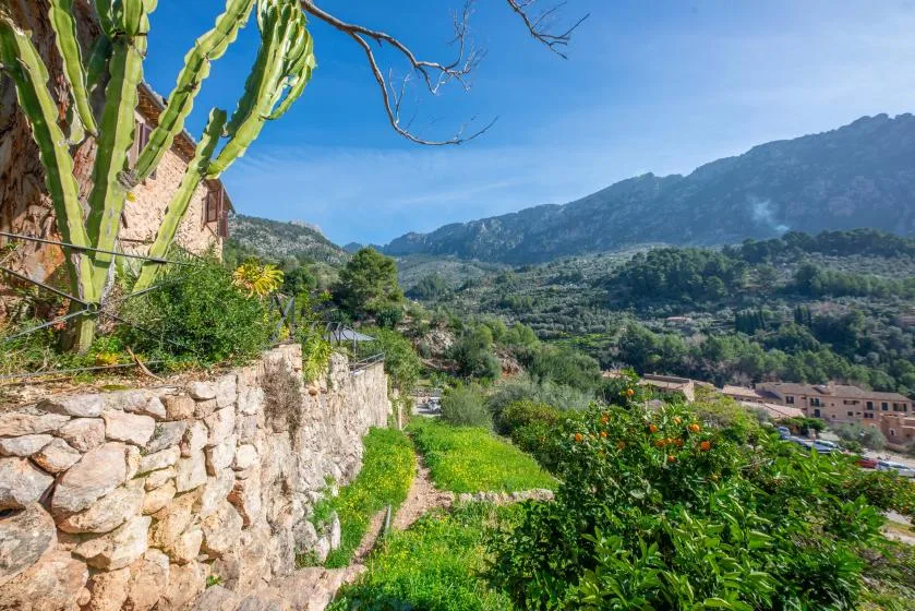 A green hillside garden overlooks a mountain valley under a clear blue sky.