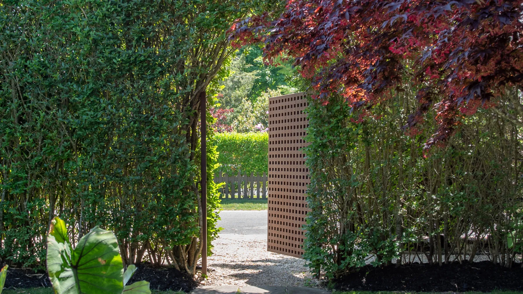 A garden path passes through a hedge opening beside a wooden screen.