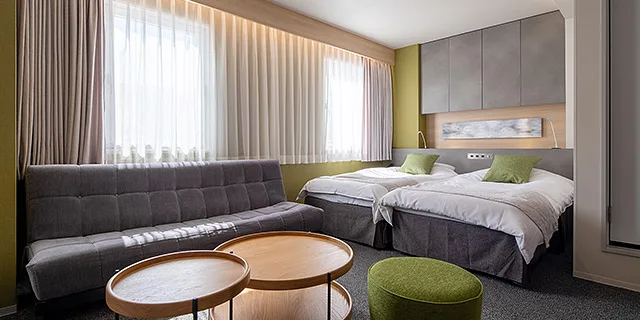Habitación ejecutiva con dos camas individuales