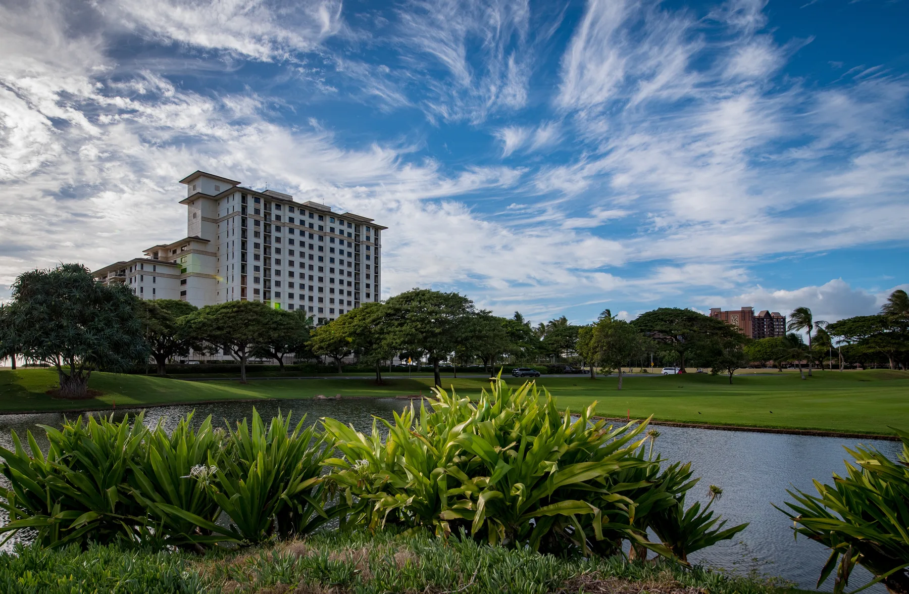 A landscaped outdoor area beside a pond, with trees and a tall building in the background.