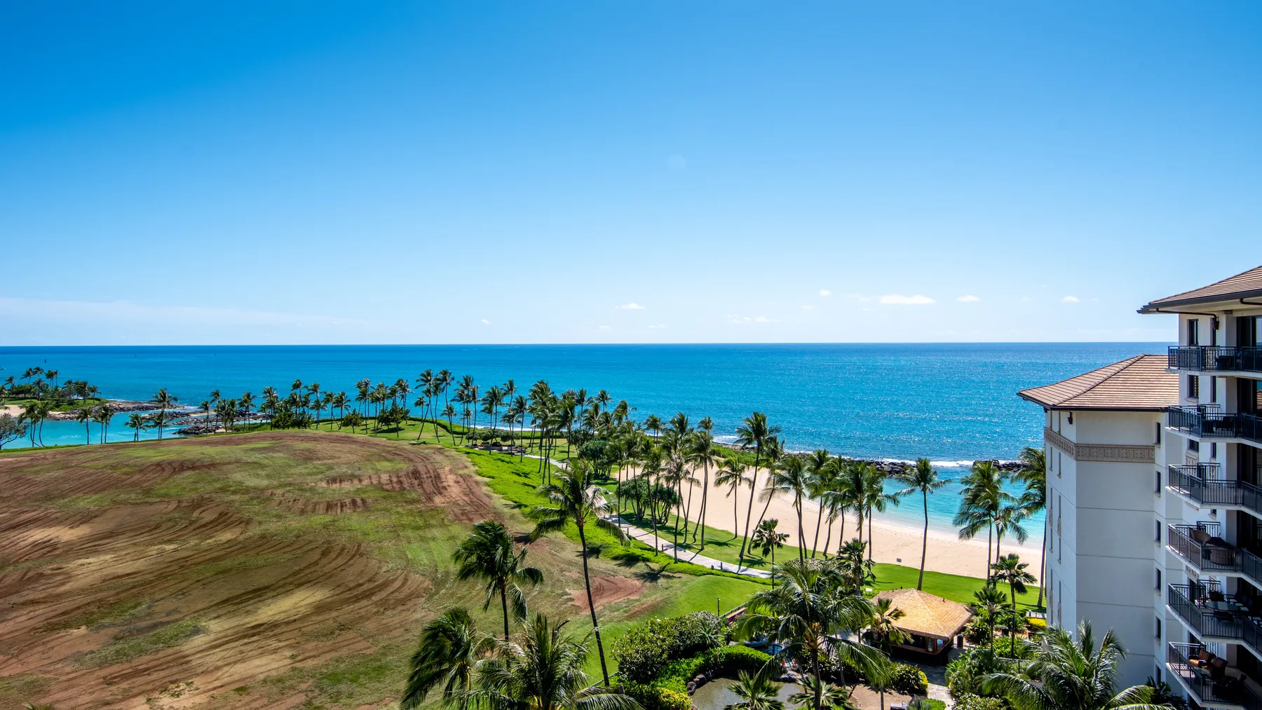 A coastal landscape with a palm-lined beach and ocean.
