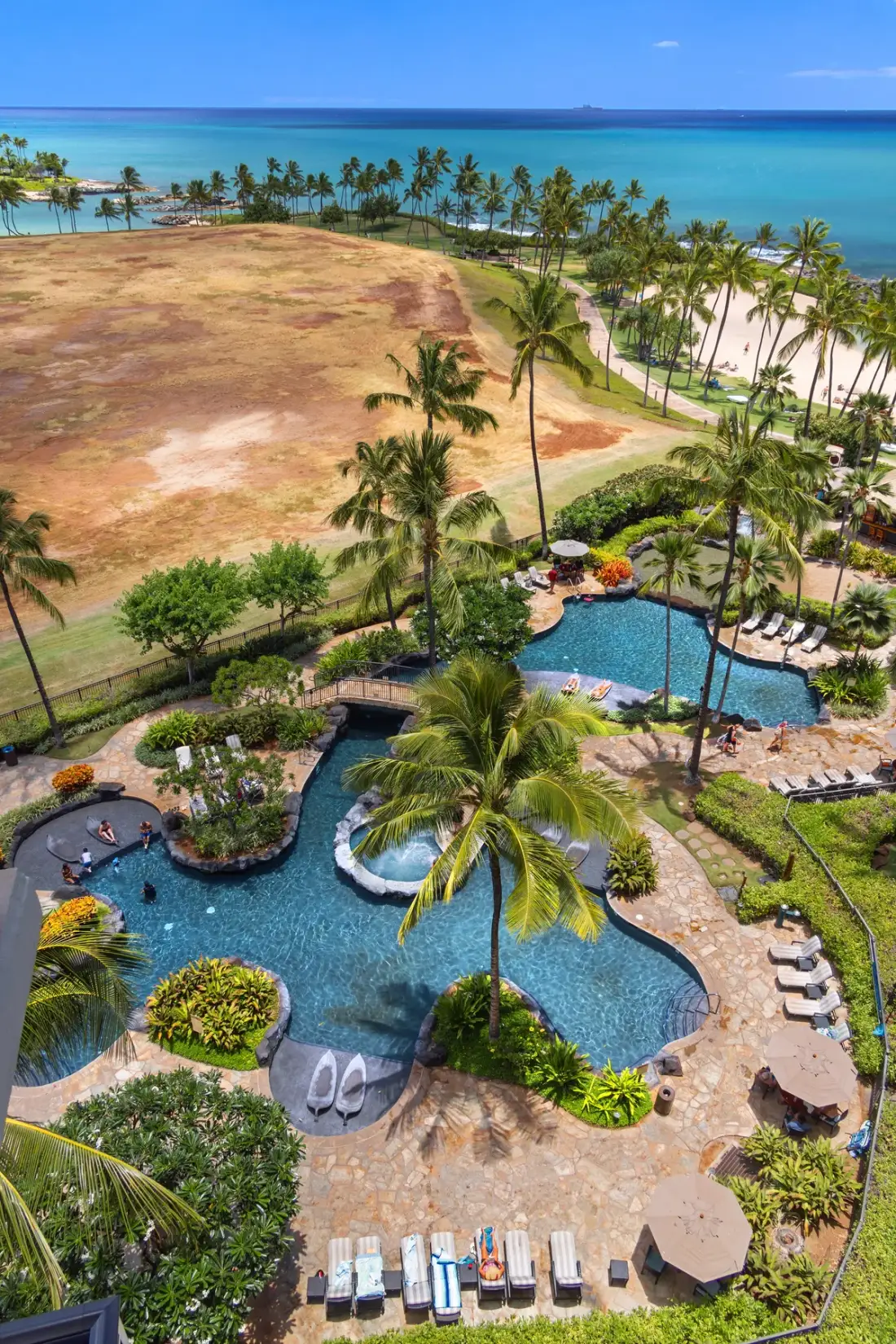A tropical resort pool surrounded by palm trees, with the ocean visible beyond.