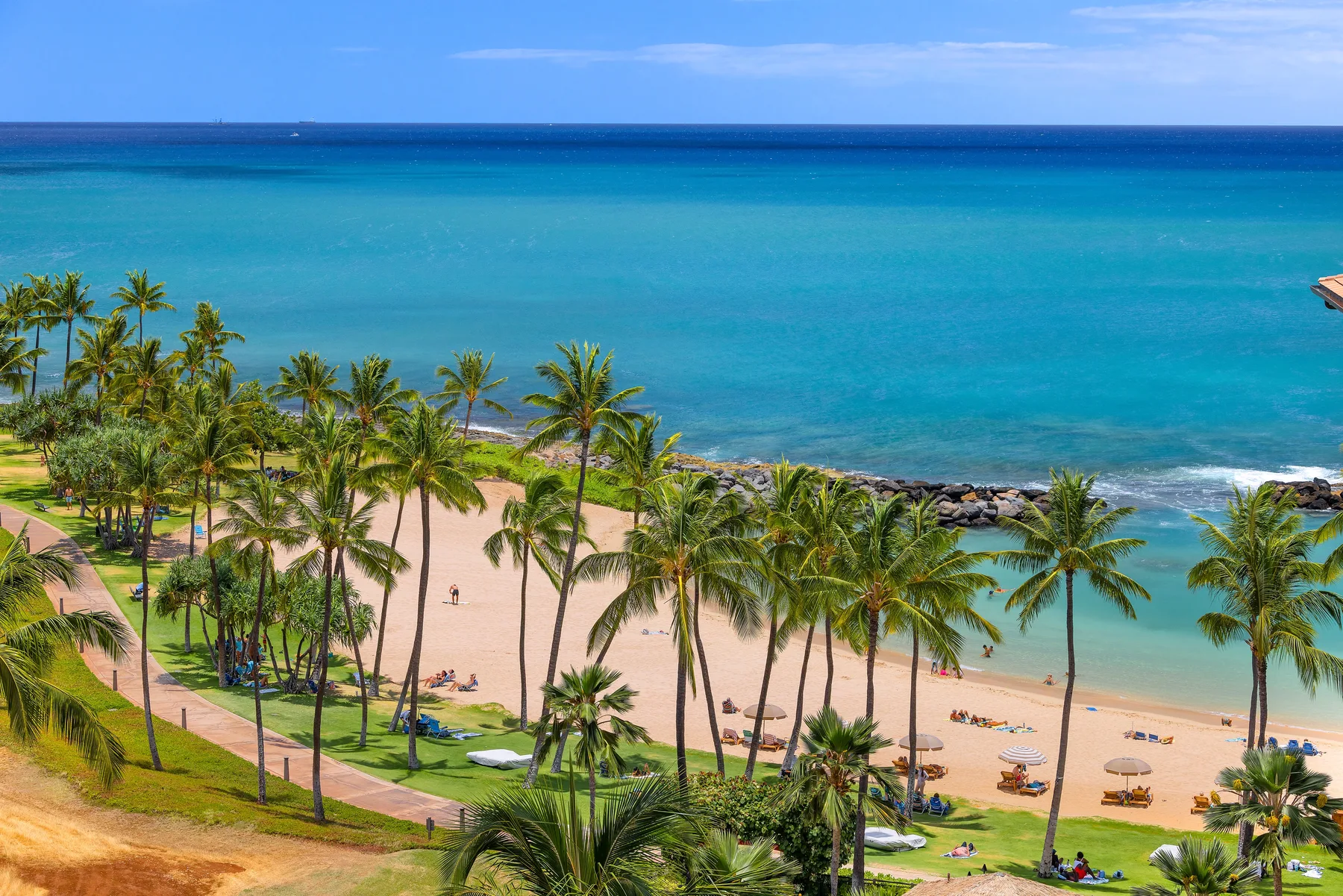 A palm-lined beach borders clear turquoise water.