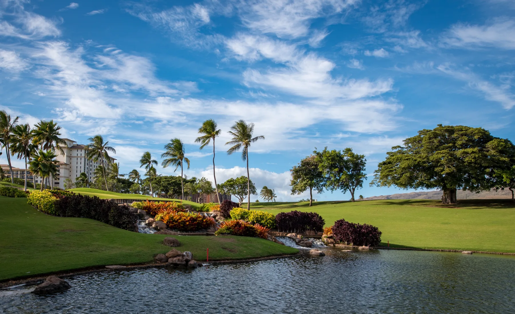 A landscaped waterfront lawn with flowering plants, palm trees, and a broad blue sky.