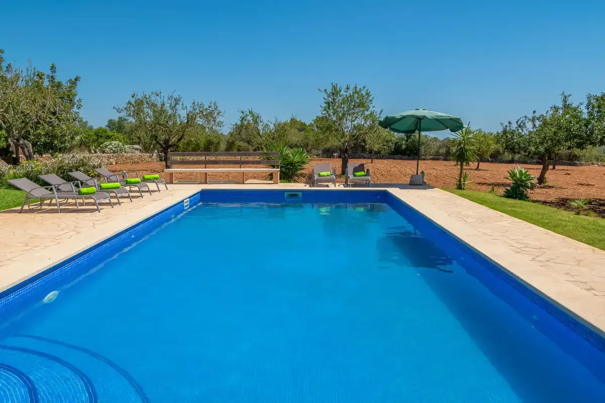 Una piscina al aire libre está rodeada de tumbonas, vegetación y un patio.