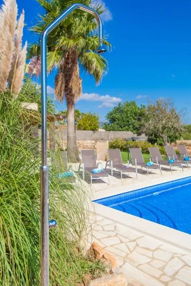 Una piscina al aire libre con tumbonas junto a la zona pavimentada.
