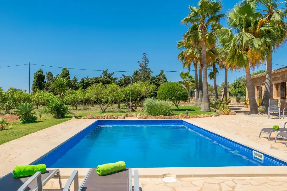 Una piscina al aire libre está junto a palmeras y un patio pavimentado.