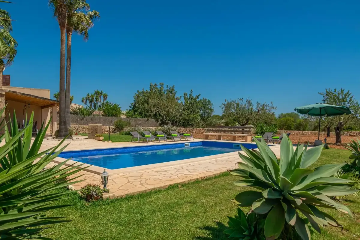 Una piscina exterior está rodeada por una terraza pavimentada, vegetación y asientos.