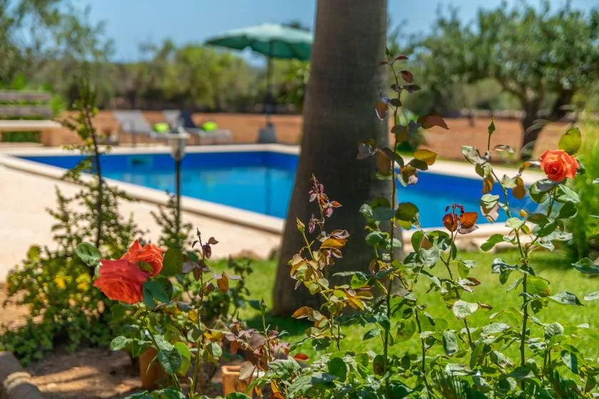 Una piscina queda detrás de un jardín con rosales y una zona de estar sombreada.