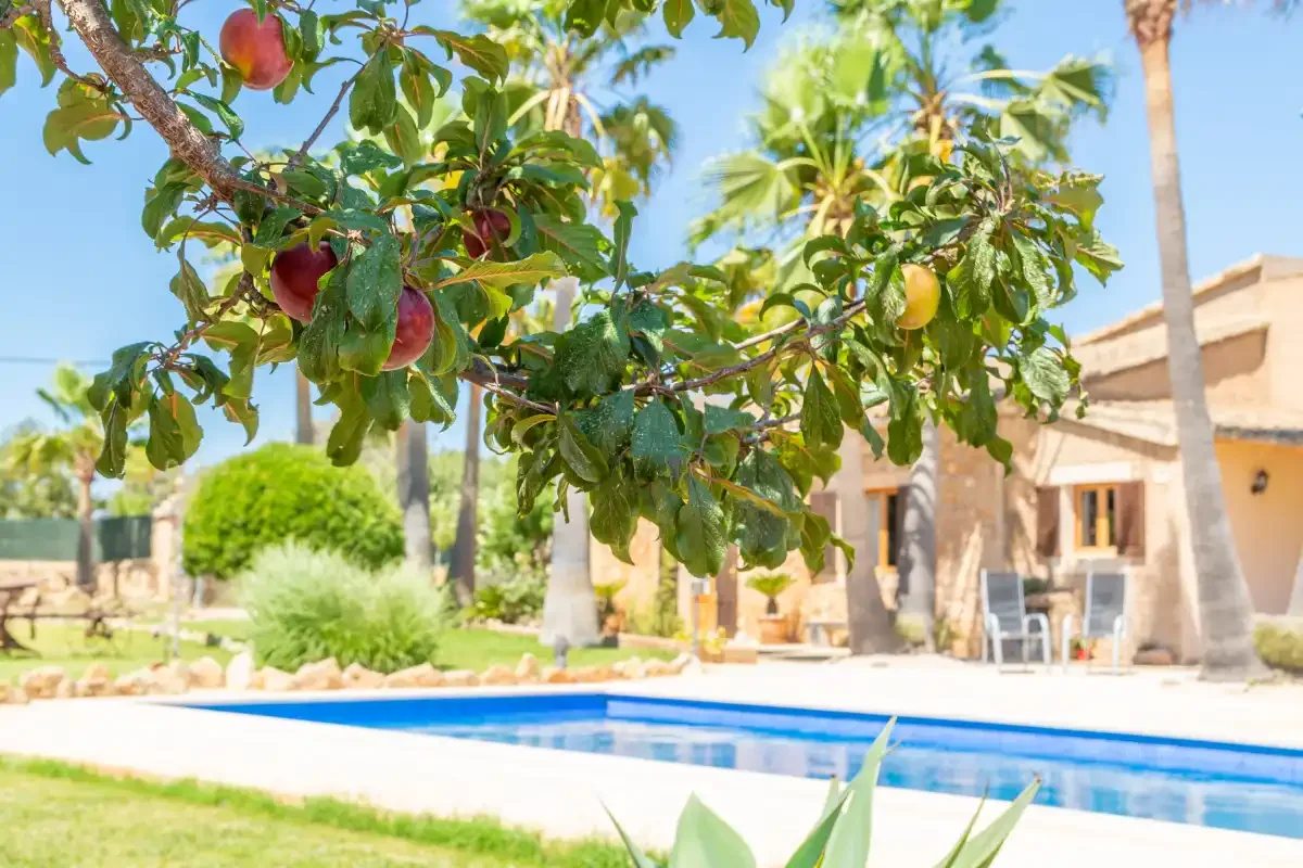Una piscina está junto a un jardín y un edificio de tonos claros.