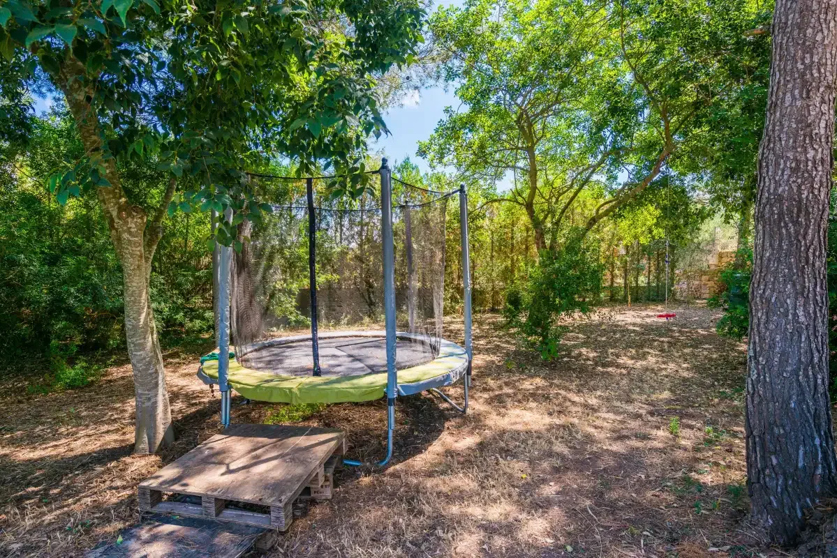 A trampoline sits among trees in a shaded outdoor area.