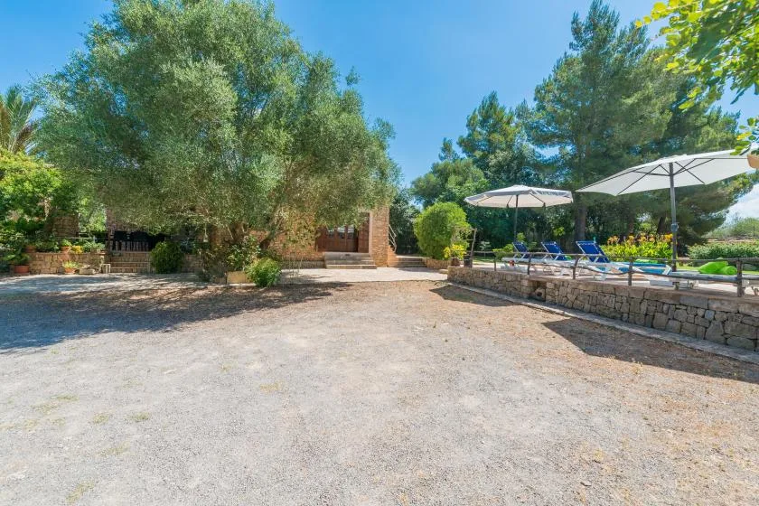 A sunny outdoor patio with trees, umbrellas, and seating beside a stone wall.