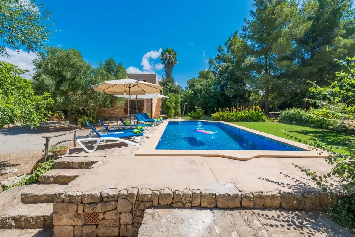 An outdoor swimming pool is surrounded by a paved patio and green trees.