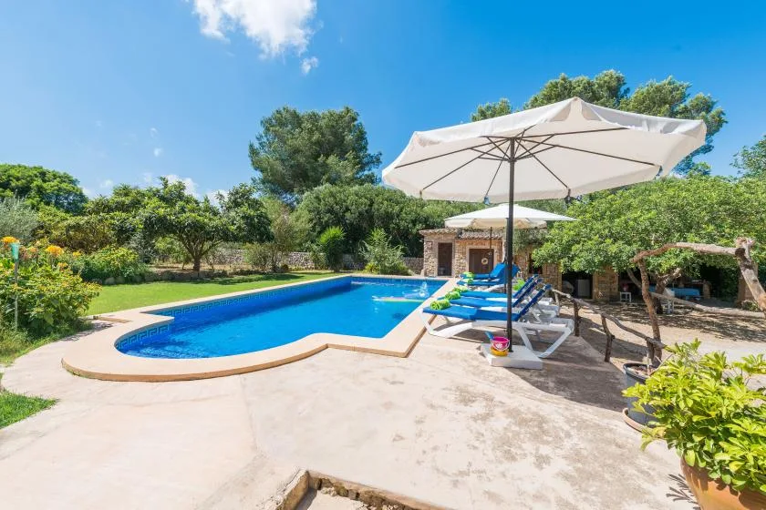 An outdoor swimming pool sits beside lounge seating under large umbrellas.